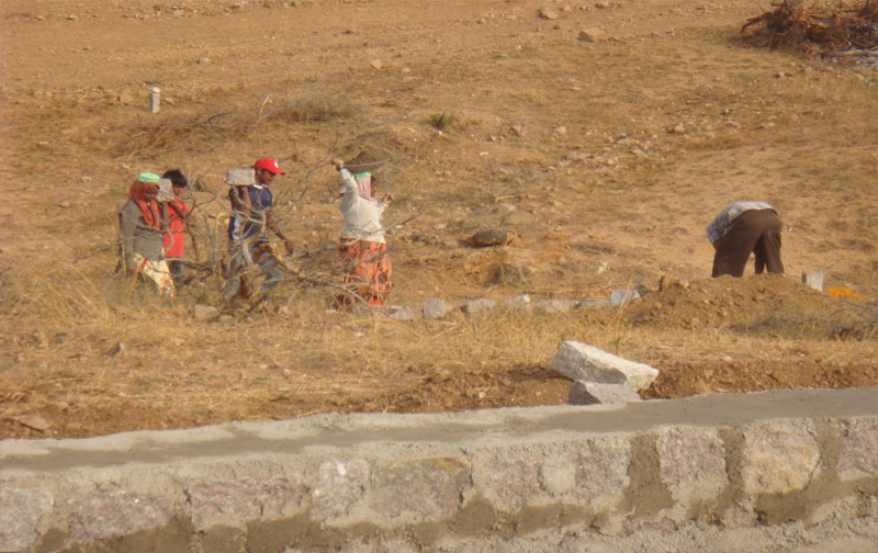 Gowthami Nagar photograph
